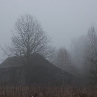 Осенний утренний туман . :: Dark Angel 