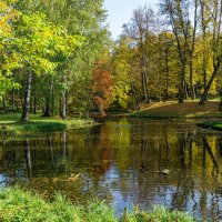 Гатчина. дворцовый парк. Осень. :: Павел © Смирнов