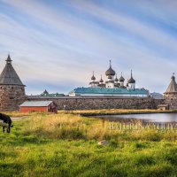 Монастырь и корова :: Юлия Батурина
