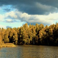 Лесное озеро :: Nikolay Monahov