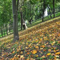 Осень в парке :: Юрий K...