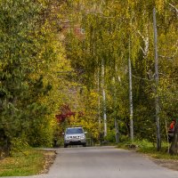 мои окрестности, улицы поселка :: Петр Беляков