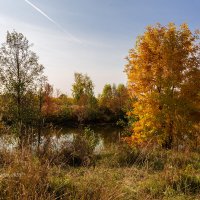 Осенняя прогулка :: Александр Синдерёв