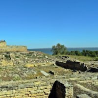 Руины древнегреческого города Тира :: Татьяна Ларионова