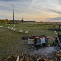 Плаха... :: Влад Никишин