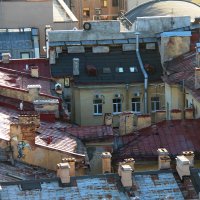 Питерские крыши :: Любовь 