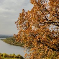 Река :: Дмитрий Близнюченко