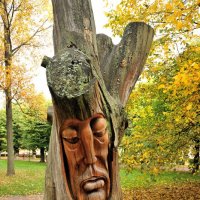 Дерево в Выборге... :: Андрей Вестмит