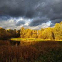 В октябре такое нелегко ловить. В мае - невозможно :: Андрей Лукьянов