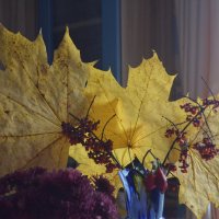 Осенние листья... :: Владимир Павлов