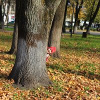 Больше радости, чем внучка, В жизни просто не бывает!» — В мире все без исключения Так все бабушки с :: Надежда Федорова