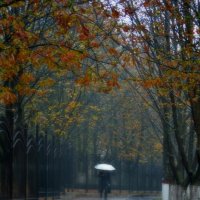 Ветер, осень, дождь... :: Nina Streapan