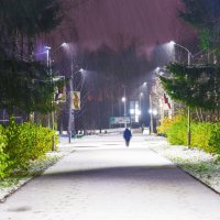 Первые снегопады :: Николай Зиновьев