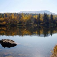 Осень с отражением. :: Вера Литвинова
