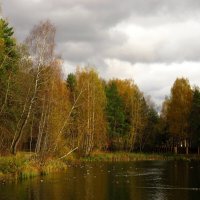 На маленьком пруду :: Андрей Снегерёв