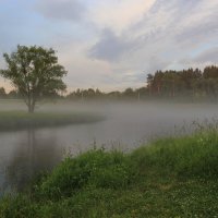 Туманное Подмосковье :: галина северинова