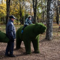 *** :: Владимир Безбородов