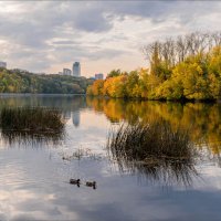 Москва-река в Филях :: Александр Орлов