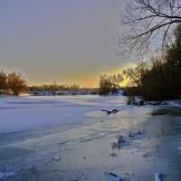 Февраль. На заводи :: Евгений 