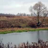 Первый день ноября. :: Михаил Столяров