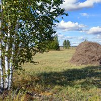 Бурёнке  на  зимовку :: Геннадий Супрун