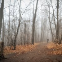 Прогулка в тумане :: Александр Беляков