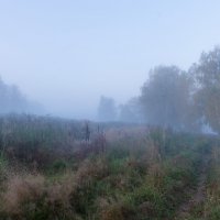 Синий туман. :: Владимир Безбородов