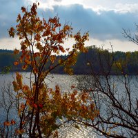 Осень у озера :: Nina Streapan