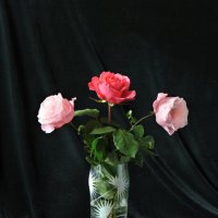 Розы :: Виктор Берёзкин