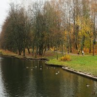 Городской парк в ноябре. :: Милешкин Владимир Алексеевич 