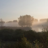 Туман. :: Владимир Безбородов