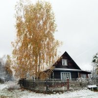 Золотая осень в деревне :: Юрий Пучков