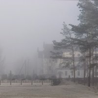 Февральское утро туманное :: Анатолий Клепешнёв