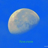 Луна в утренем небе. :: Валерьян Запорожченко