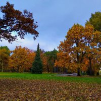 Какая неземная благодать царит в деньках осеннего прощанья… :: Татьян@ Ивановна