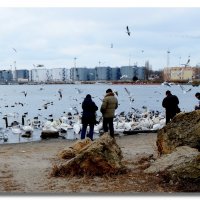 ЛЕБЕДИНОЕ ОЗЕРО :: Анатолий Восточный