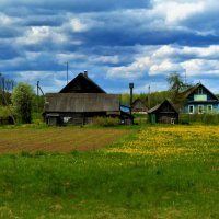 Летний день в деревне :: Ольга Митрофанова