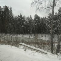Начало зимы. :: ОКСАНА ЮРЬЕВНА ШВЕЦ