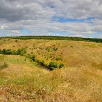 Вид с высокого холма :: Константин 