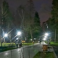 Вечерний парк. :: Олег Пучков