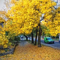 Осень в городе :: Сергей Порфирьев