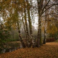 Влажными красками осени :: Николай Гирш