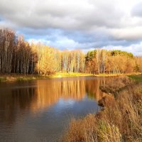 Вдруг на полчаса появилось солнце :: Елена Павлова (Смолова)