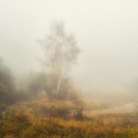 Туман :: Геннадий Клевцов
