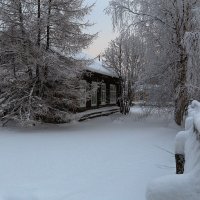 Первый снег... :: Владимир Чикота 