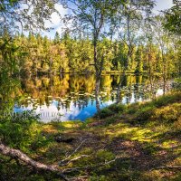 Пейзаж озера в лесу :: Юлия Батурина