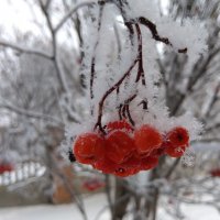 Первый день зимы :: Валентина Богатко 
