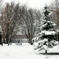 Первывй снег :: Юрий Шувалов