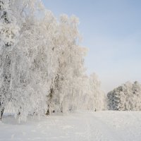 Здравствуй зима! :: Вадим Басов