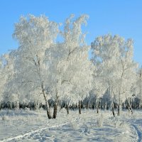 Зимушка-зима :: Mikhail Irtyshskiy